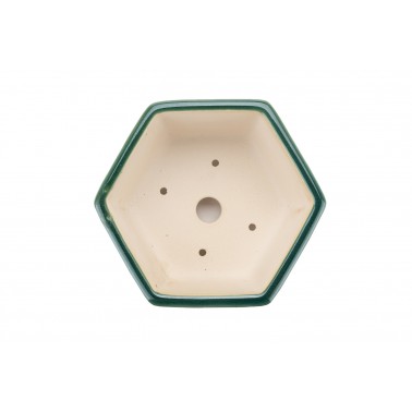 Maceta Bonsái Yixing WZ-11GR