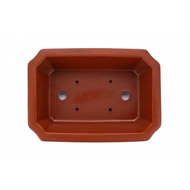 Maceta Bonsái Yixing ZZ-012