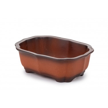 Maceta Bonsái Yixing ZZ-081