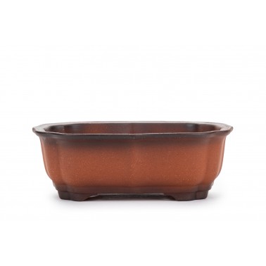 Maceta Bonsái Yixing ZZ-081