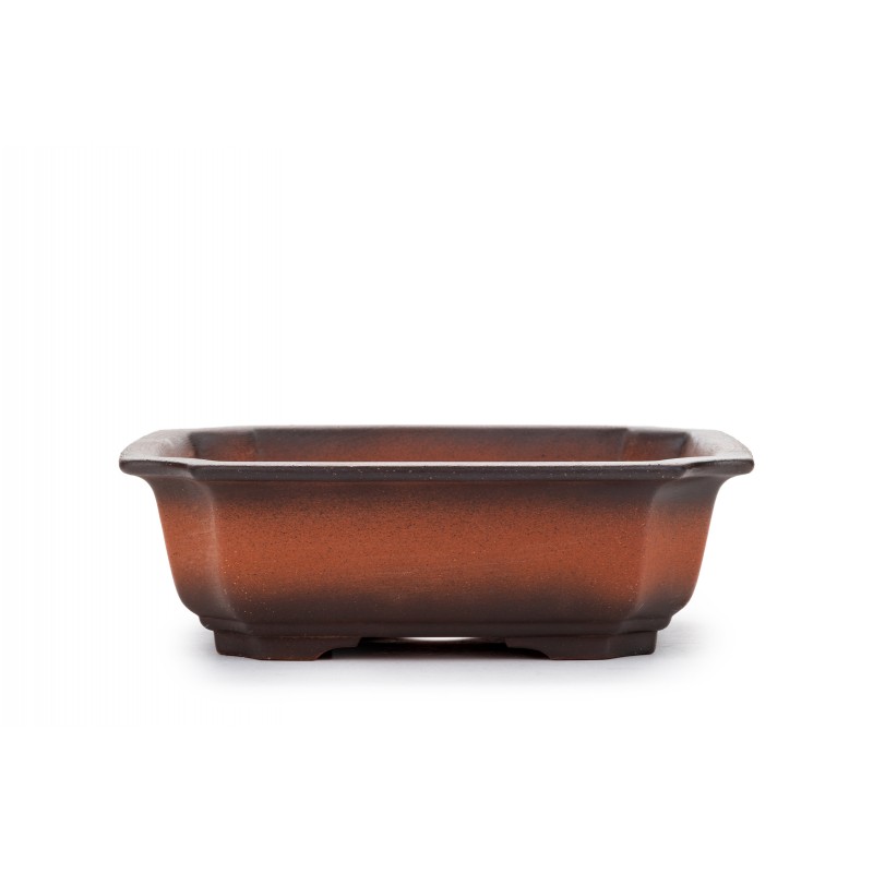 Maceta Bonsái Yixing ZZ-082