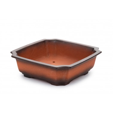 Maceta Bonsái Yixing ZZ-082