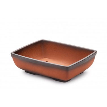 Maceta Bonsái Yixing ZZ-083