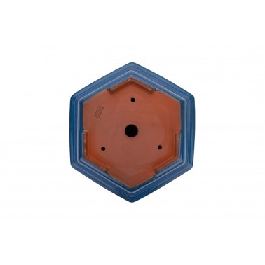 Maceta Bonsái Yixing ZZ-161BL