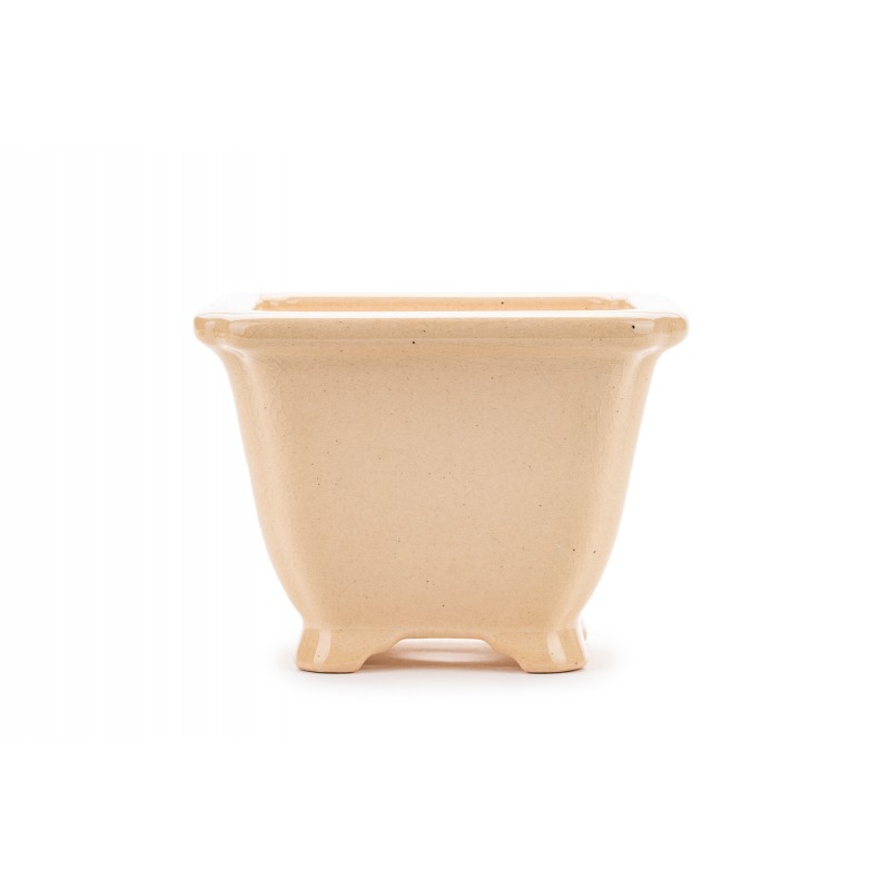 Maceta Bonsái Yixing ZZ-171BE