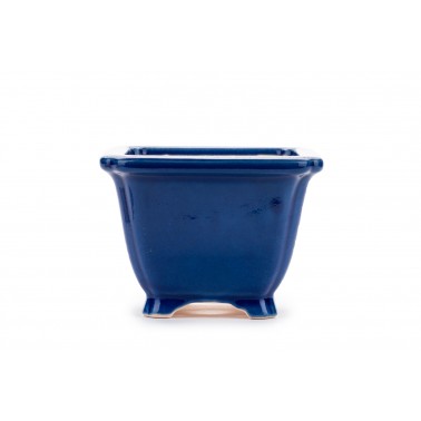 Maceta Bonsái Yixing ZZ-171BL