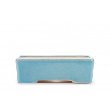 Maceta Bonsái Yixing ZZ-207NB