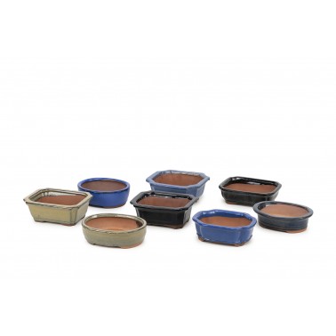 SET 8 Macetas Bonsái Yixing YIX-15