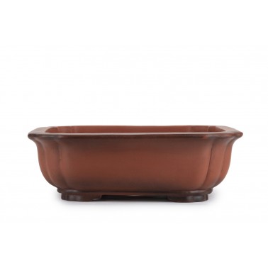 Maceta Bonsái Yixing ASE-1017D