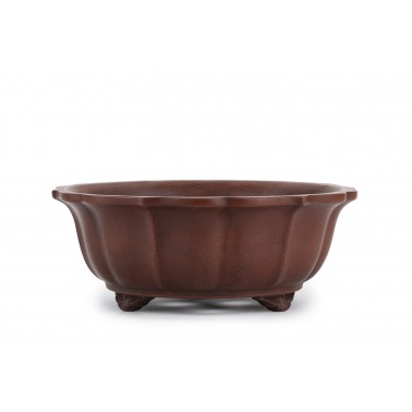 Maceta Bonsái Yixing ASE-1038