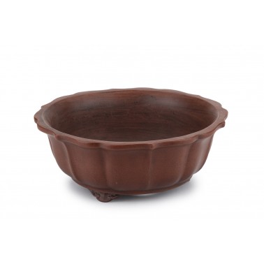 Maceta Bonsái Yixing ASE-1038