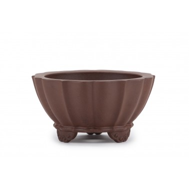 Maceta Bonsái Yixing ASE-2114