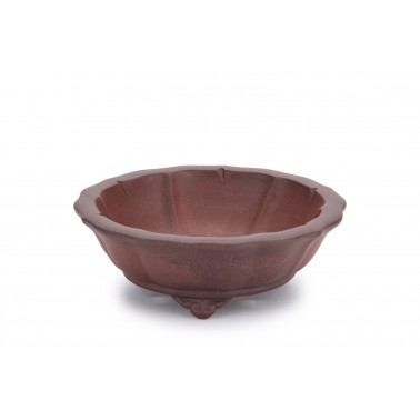 Maceta Bonsái Yixing ASE-2011