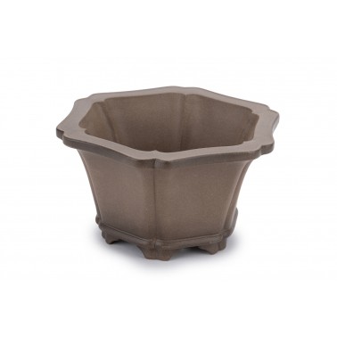 Maceta Bonsái Yixing ASE-2116