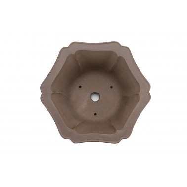 Maceta Bonsái Yixing ASE-2116