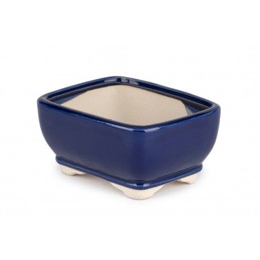 Maceta Bonsái Yixing YIX-200BL