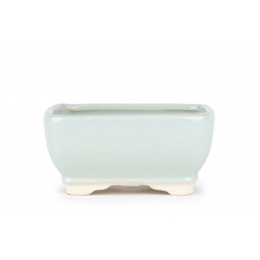 Maceta Bonsái Yixing YIX-200LG