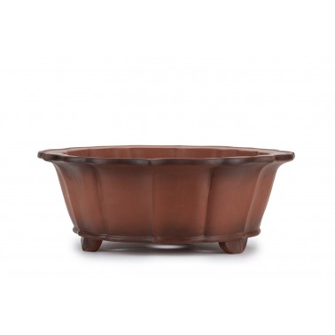 Maceta Bonsái Yixing ASE-3036