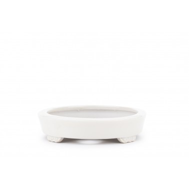 Maceta Bonsái Heian Yusen 22313