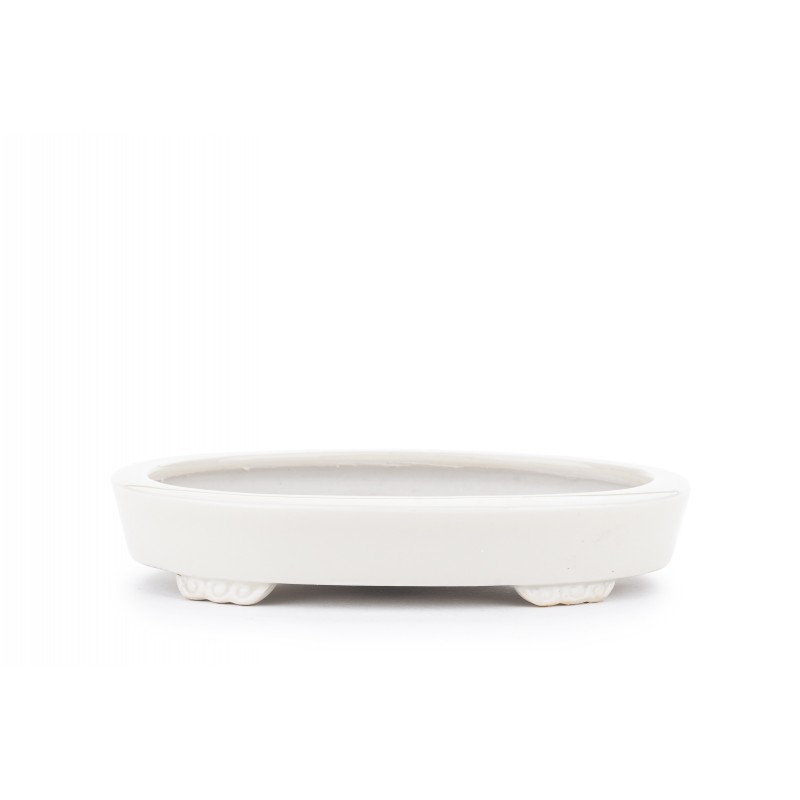 Maceta Bonsái Heian Yusen 22313