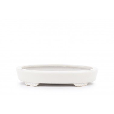 Maceta Bonsái Heian Yusen 22313