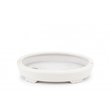 Maceta Bonsái Heian Yusen 22313