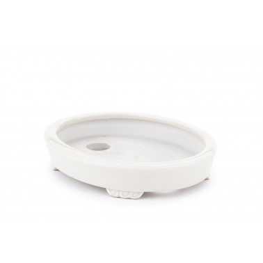 Maceta Bonsái Heian Yusen 22313