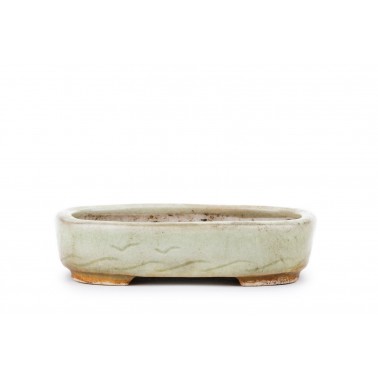 Maceta Bonsái Machinao 22315