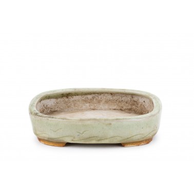 Maceta Bonsái Machinao 22315