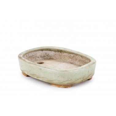 Maceta Bonsái Machinao 22315