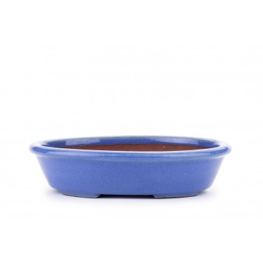 Maceta Bonsái Ikkou 22316