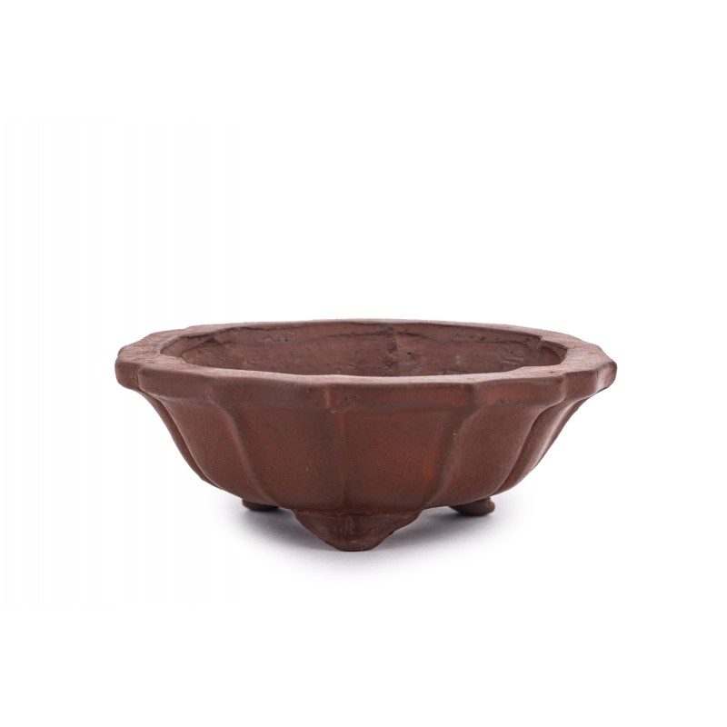 Maceta Bonsái Shibakatsu 22406