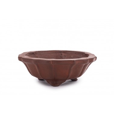 Maceta Bonsái Shibakatsu 22406