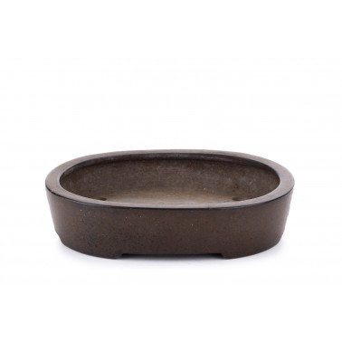 Maceta Bonsái Rikkado 22321