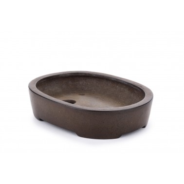 Maceta Bonsái Rikkado 22321