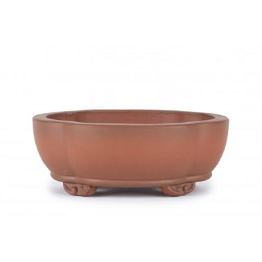 Maceta Bonsái Yixing B-317