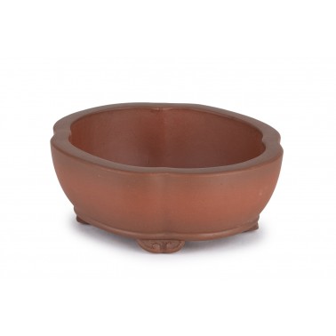 Maceta Bonsái Yixing B-317
