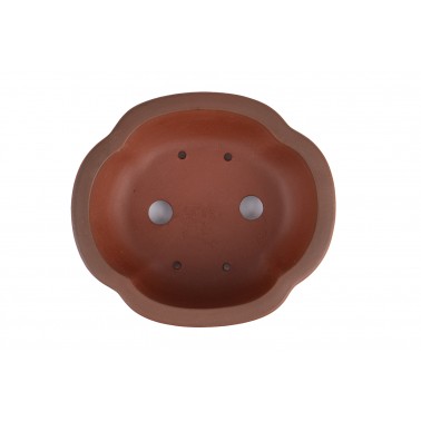 Maceta Bonsái Yixing B-317