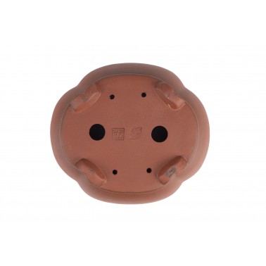 Maceta Bonsái Yixing B-317