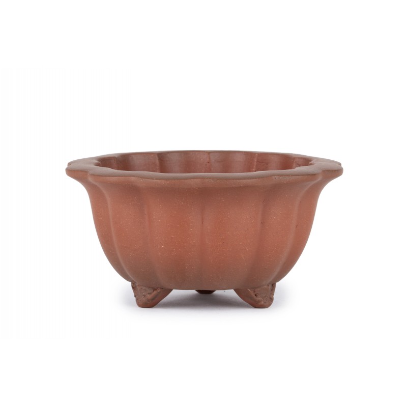 Maceta Bonsái Yixing B-014