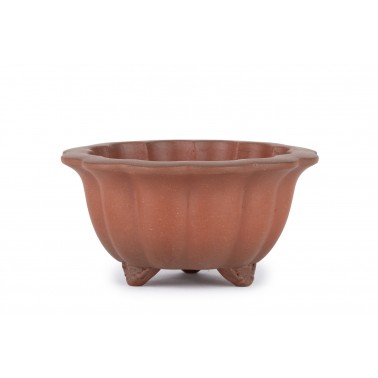 Maceta Bonsái Yixing B-014