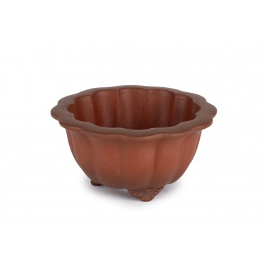 Maceta Bonsái Yixing B-014