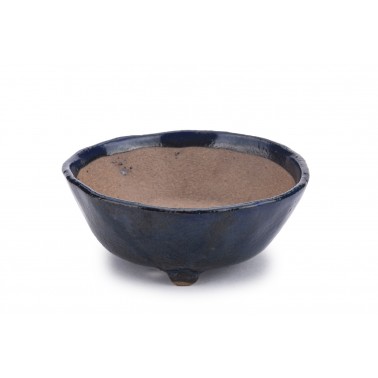 Maceta Bonsái Autor Desconocido 22411