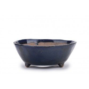 Maceta Bonsái Autor Desconocido 22411