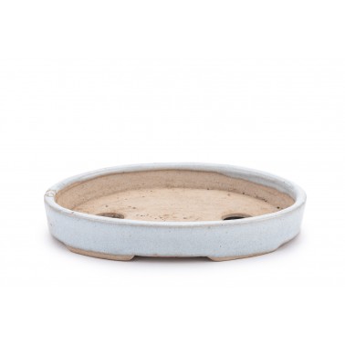 Maceta Bonsái Autor Desconocido 22413