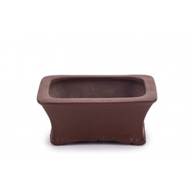 Maceta Bonsái Autor Desconocido 22416