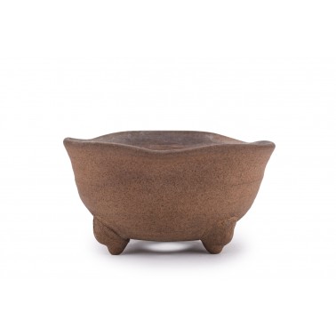 Maceta Bonsái Autor Desconocido 22419