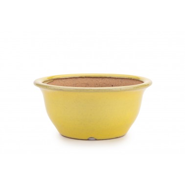 Maceta Bonsái Ikkou 22421