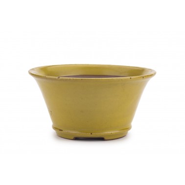 Maceta Bonsái Shoseki 22422