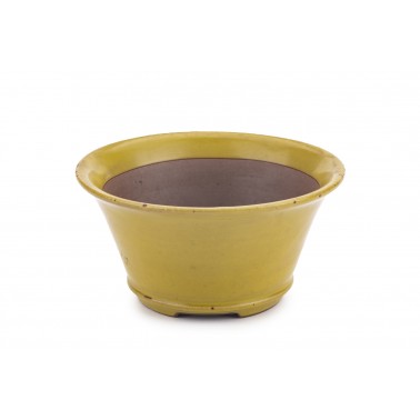 Maceta Bonsái Shoseki 22422